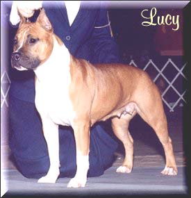 lucy.jpg